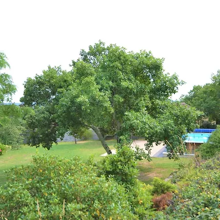 Alluring In Largenti Re With Pool Holiday home